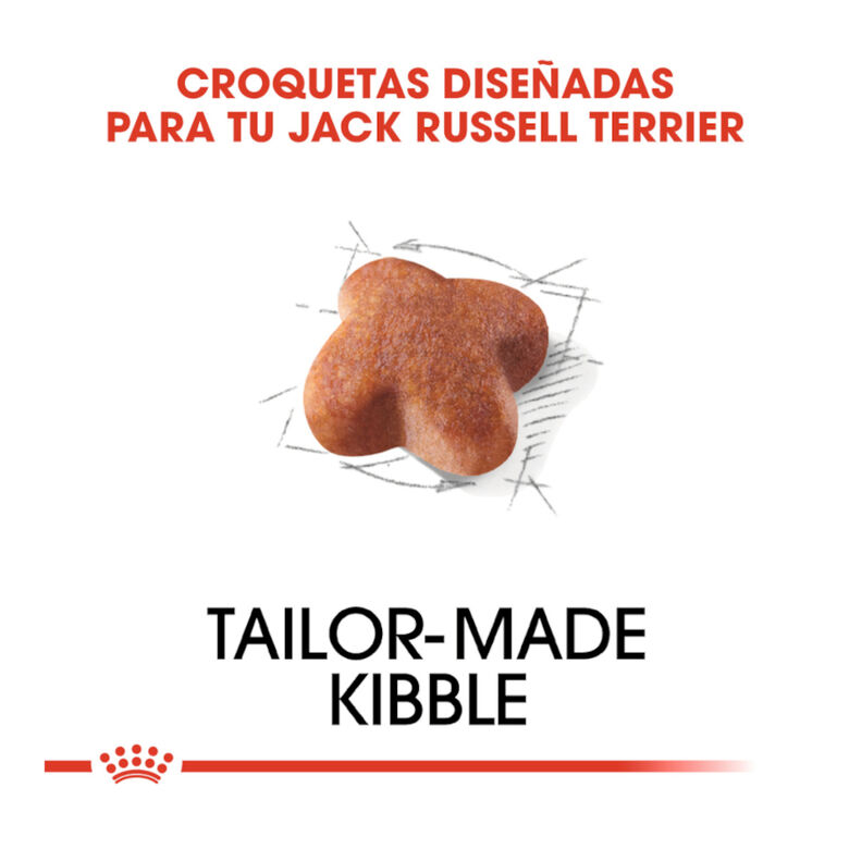 Royal Canin Adult Jack Russell Terrier pienso para perros thumbnail
