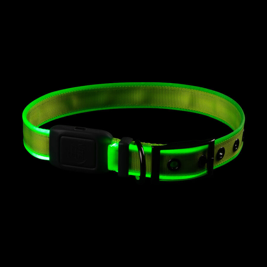 Nite Ize NiteDog Collar Led Recargable Verde para perros thumbnail
