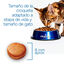Criadores Científico Adulto Pollo pienso para gatos, , large indicador imagen numero 7