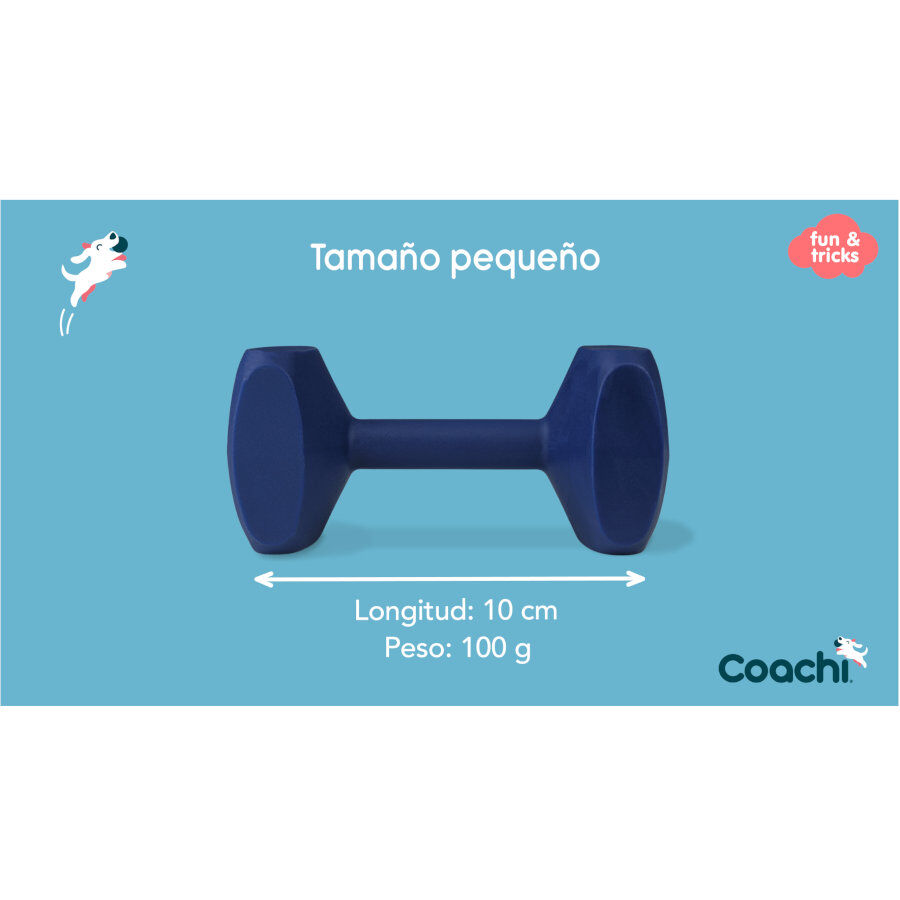 Coachi pesa de juguete azul para perros peque&ntilde;os, , large Imagen numero 4
