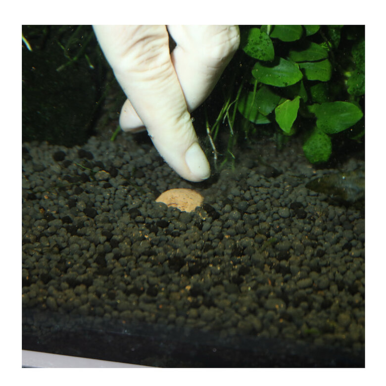 JBL 7 Kugeln Fertilizante para Plantas de acuarios de agua dulce,  Imagen numero 6 JBL 7 Kugeln Fertilizante para Plantas de acuarios de agua dulce, , large Imagen numero 6