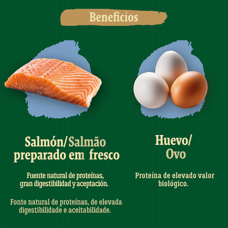 2 kg True Origins Wild Pacific Salmón pienso para gatos senior,  Imagen numero 5 2 kg True Origins Wild Pacific Salmón pienso para gatos senior, , large Imagen numero 5