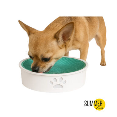 Summer Vibes Bebedero Refrescante para perros