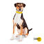 Summer Vibes Bandana refrescante para perros, , large indicador imagen numero 2