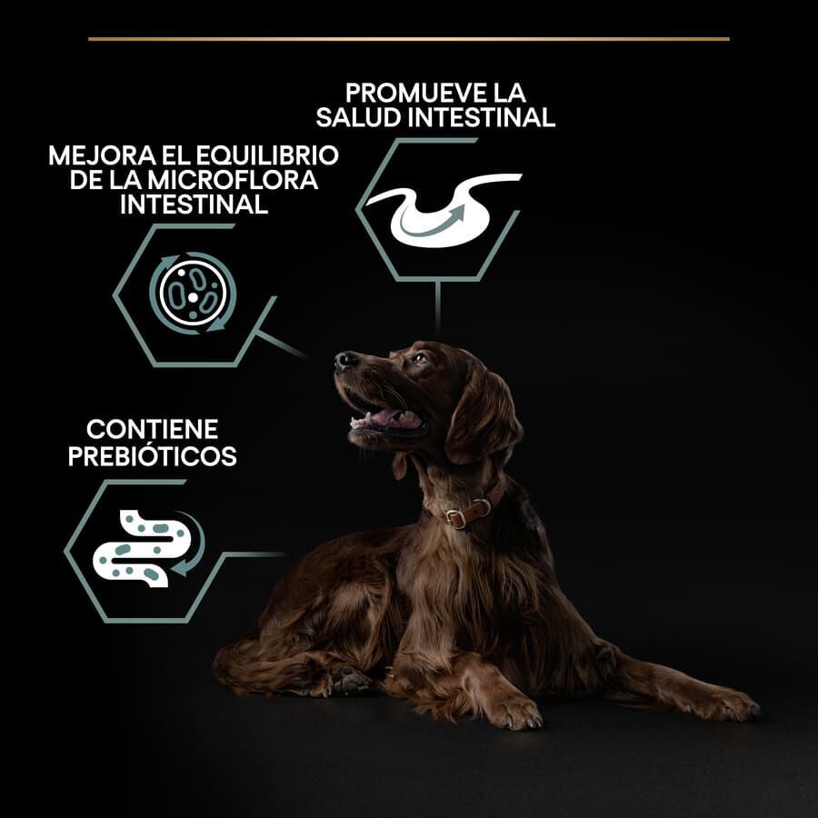 Pro Plan Adult Large Athletic Digestión Cordero pienso para perros thumbnail
