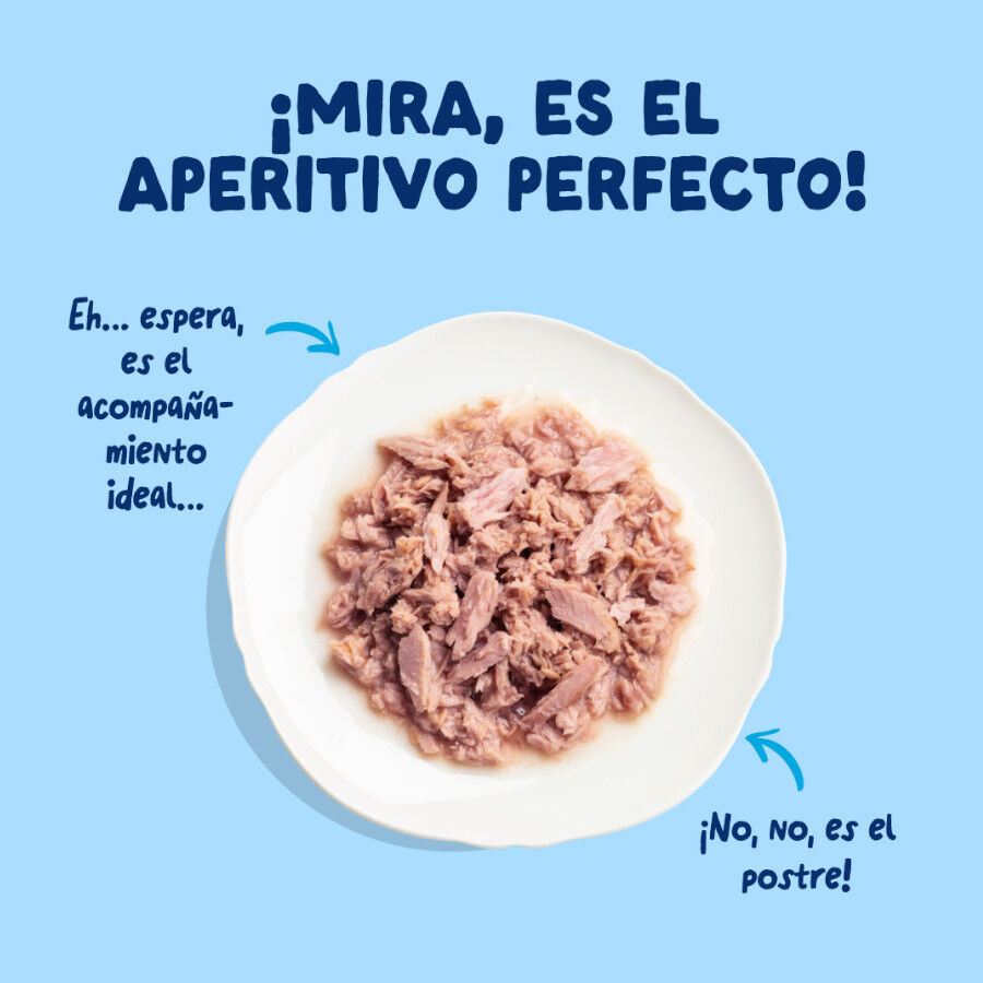 70 g Edgard & Cooper Filetes de At&uacute;n lata para gatos, , large Imagen numero 3