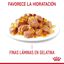 85 g Royal Canin Nutrition Appetite Control Care gelatina para gatos, , large indicador imagen numero 3