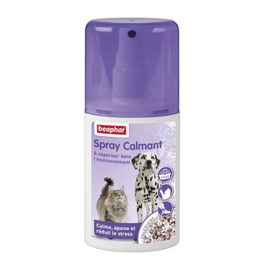 Beaphar Spray Relajante para gatos y perros