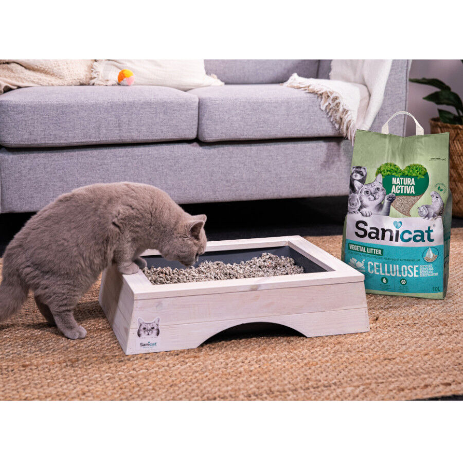 Sanicat Recycled Cellulose Lecho Natural para gatos thumbnail