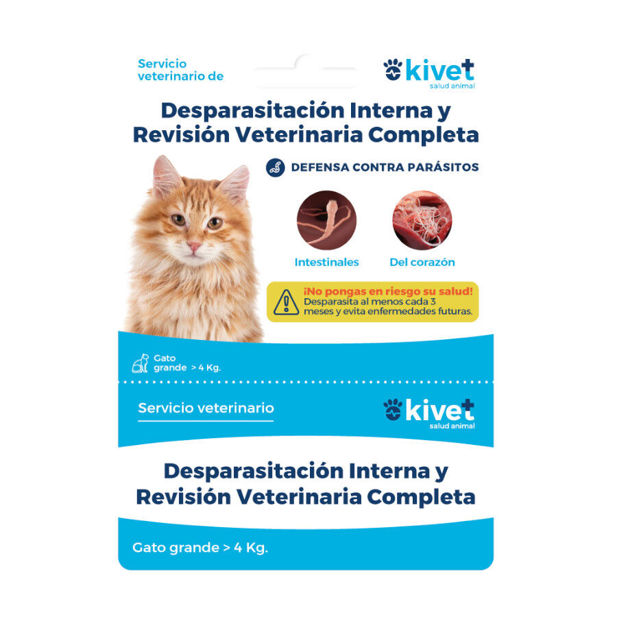 Tarjeta Veterinaria Desparasitaci&oacute;n Interna y Revisi&oacute;n Completa para gatos, , large Imagen numero 1