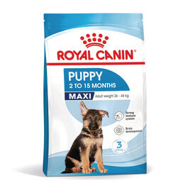 Royal Canin Puppy Maxi pienso para perros