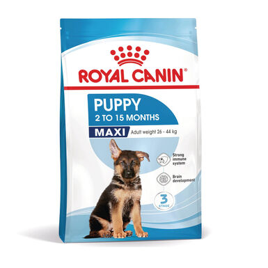 Royal Canin Puppy Maxi pienso para perros