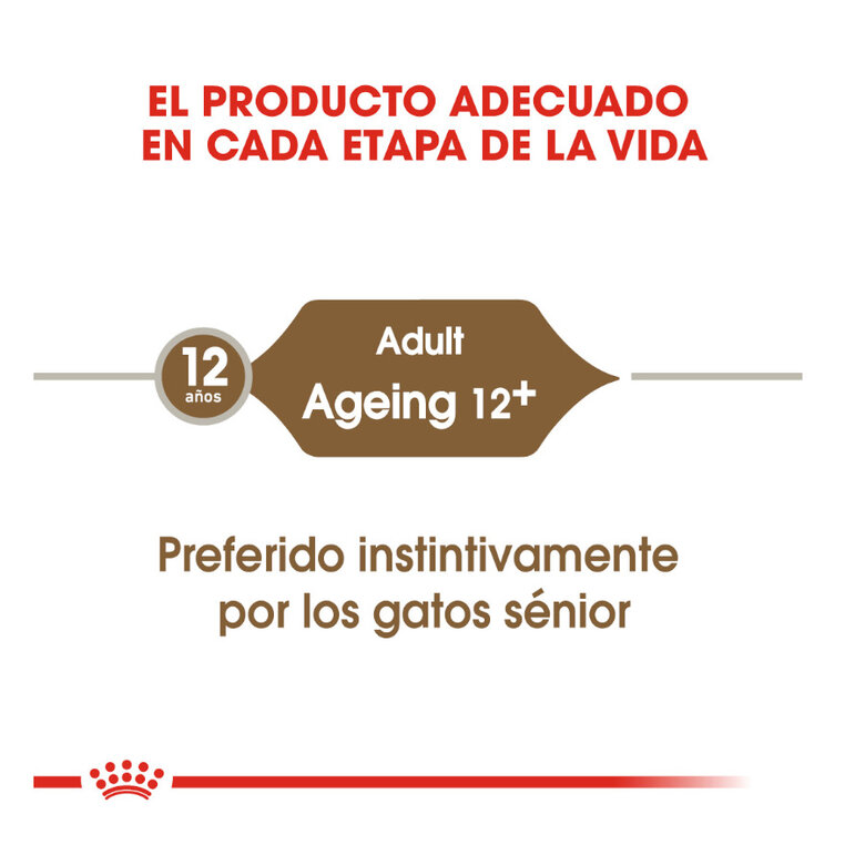 85 g Royal Canin Ageing 12+ gelatina sobres para gatos,  Imagen numero 6 85 g Royal Canin Ageing 12+ gelatina sobres para gatos, , large Imagen numero 6