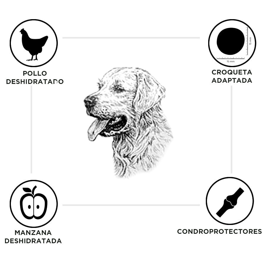 Criadores Senior Pollo y Arroz pienso para perros de razas medianas y grandes thumbnail