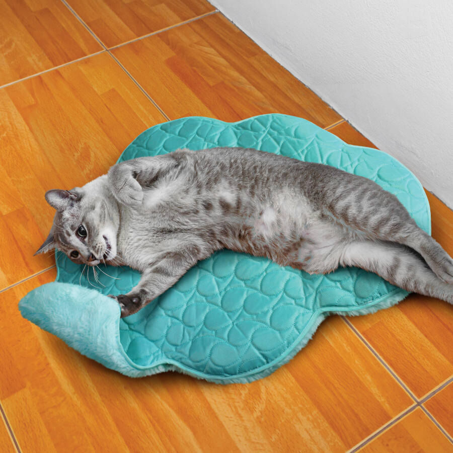 Kong PlaySpaces Nube alfombra para gatos, , large Imagen numero 2