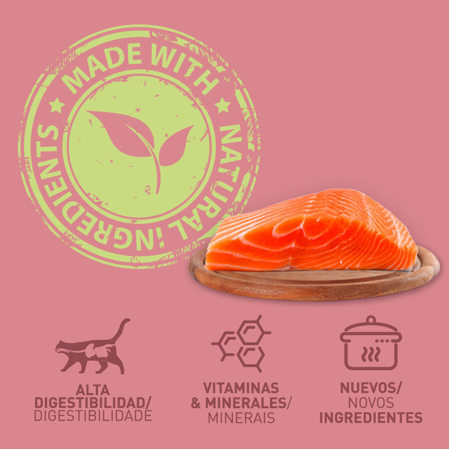 Catzilla Adult Grain Free Salmón en Paté lata para gatos thumbnail