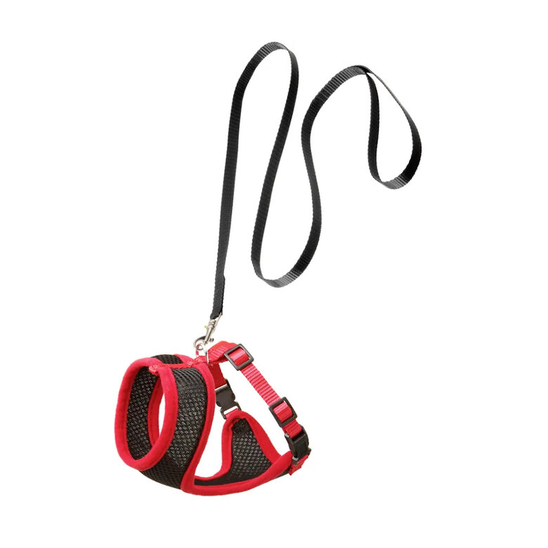 Flamingo Harms Arnés con correa negro con rojo para gatos,  Imagen numero 1 Flamingo Harms Arnés con correa negro con rojo para gatos, , large Imagen numero 1