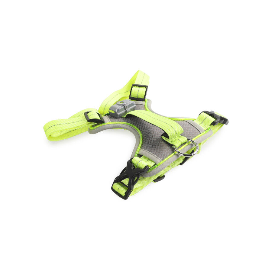 All For Paws K-Nite Arn&eacute;s con Luz para perros, , large Imagen numero 1