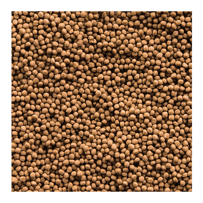 Sera Goldy Gran Nature Alimento para peces de agua fría, , large image number null