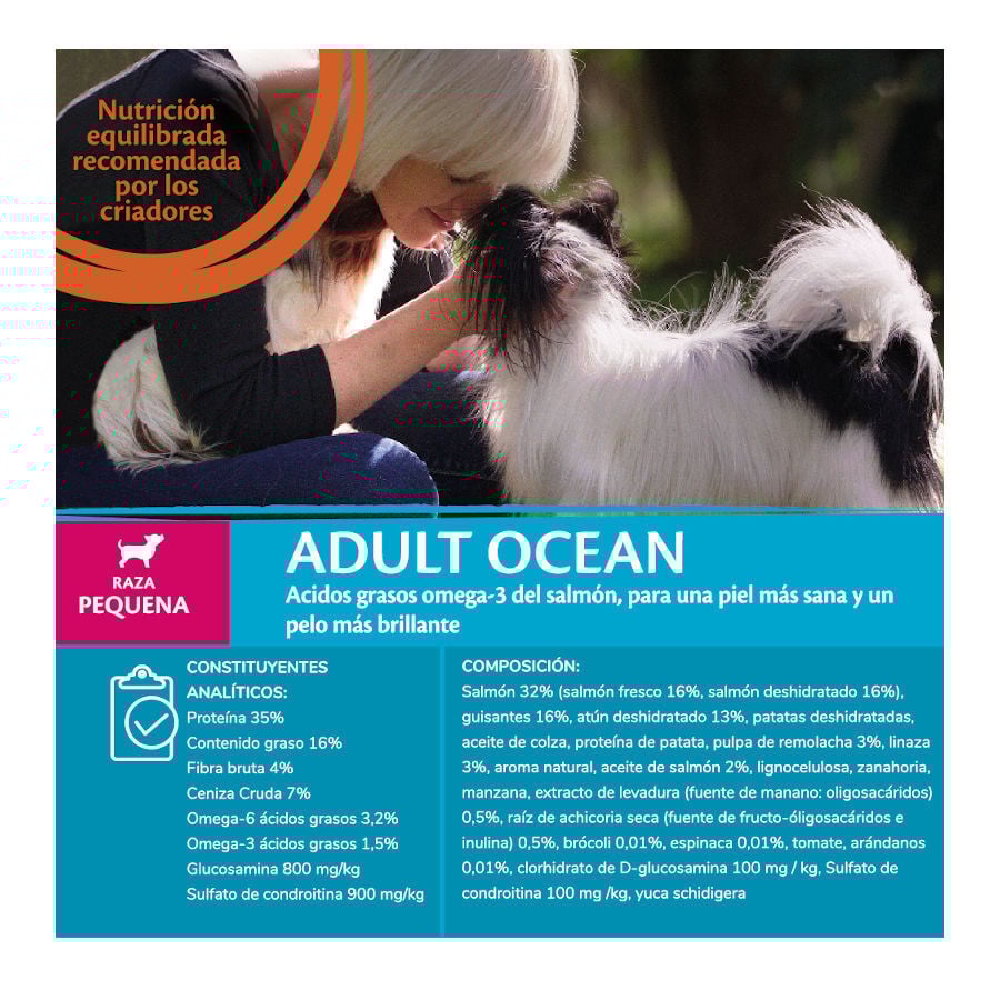 Wellness Core Adult Small Ocean Salmón y Atún pienso para perros thumbnail