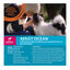 1.5kg Wellness Core Adult Small Ocean Salmón y Atún pienso para perros, , large indicador imagen numero 4