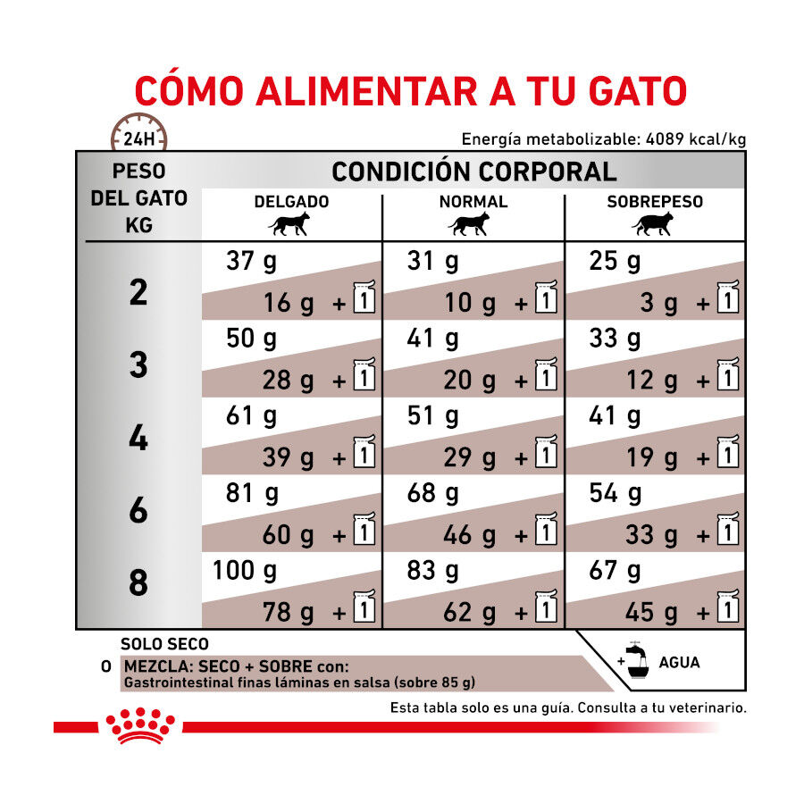 Royal Canin Veterinary Gastrointestinal pienso para gatos thumbnail
