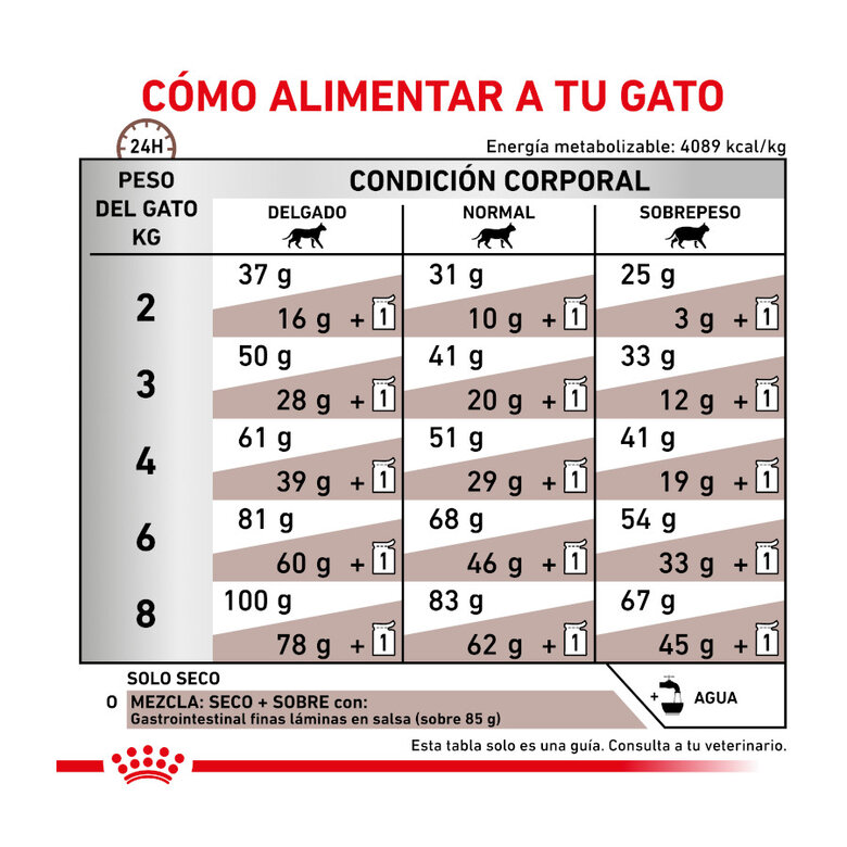 Royal Canin Veterinary Gastrointestinal pienso para gatos, , large image number null