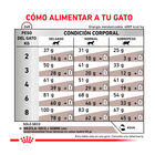 Royal Canin Veterinary Gastrointestinal pienso para gatos, , large image number null