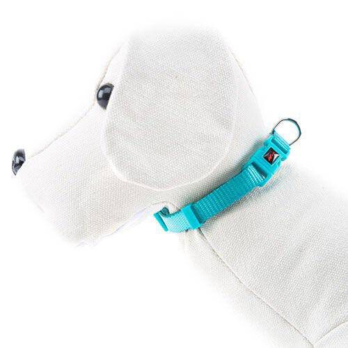 Nayeco Basic collar para perros aguamarina nylon Imagen numero 1