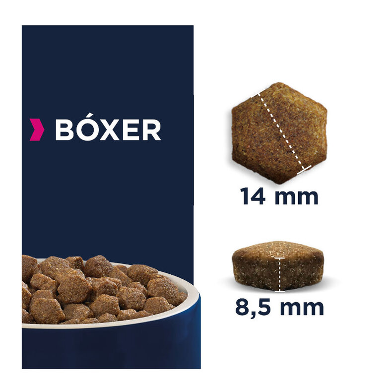 12 kg Eukanuba Adult Boxer pienso para perros,  Imagen numero 2 12 kg Eukanuba Adult Boxer pienso para perros, , large Imagen numero 2