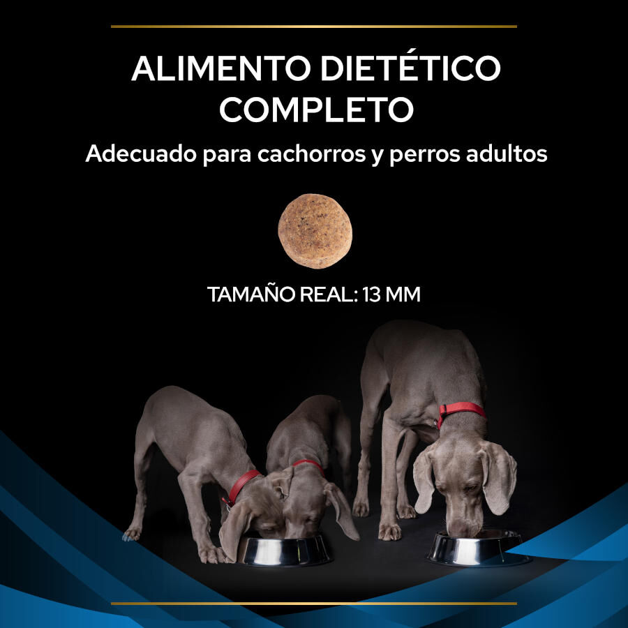 Pro Plan Veterinary Diets Dermatosis pienso para perros thumbnail