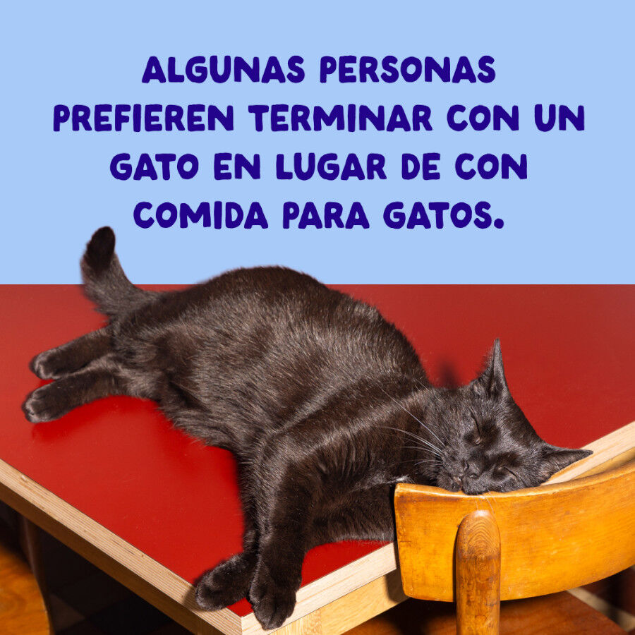 70 g Edgard & Cooper Filetes de At&uacute;n y Pollo lata para gatos, , large Imagen numero 9