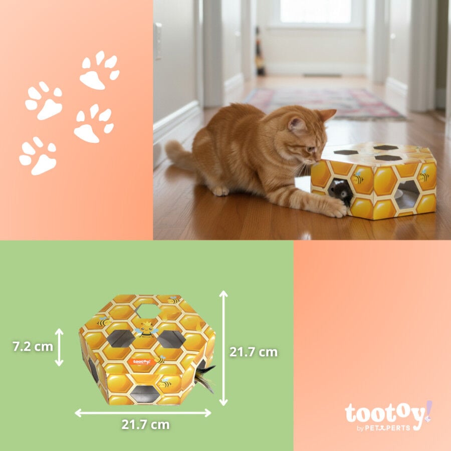 Tootoy! Panal de abeja interactivo con plumas para gatos thumbnail
