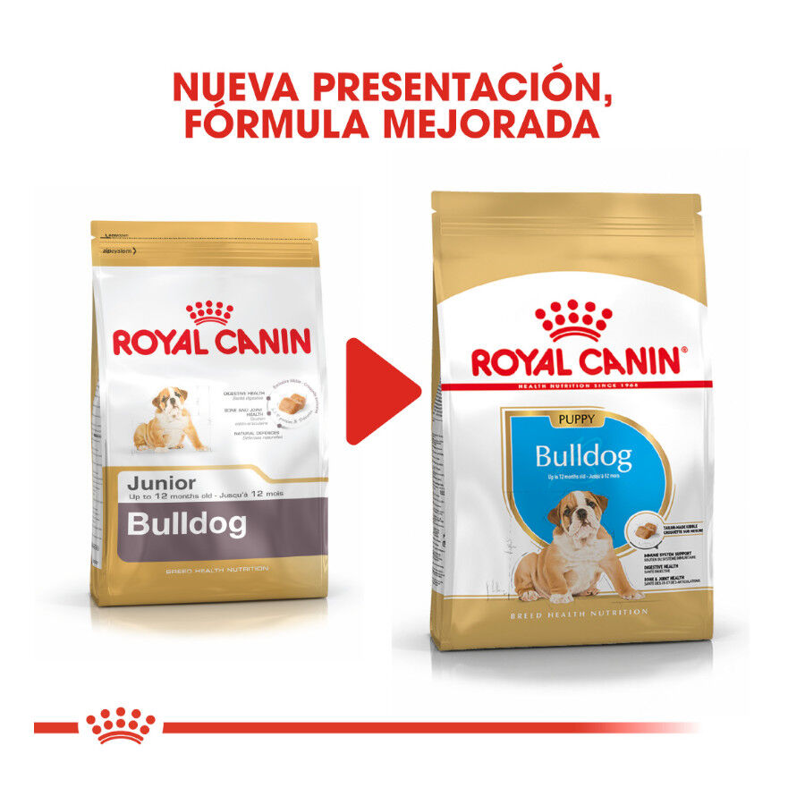 12 kg Royal Canin Puppy Bulldog pienso para cachorros, , large Imagen numero 3