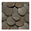 Sera Holiday Obleas para peces, , large indicador imagen numero 2