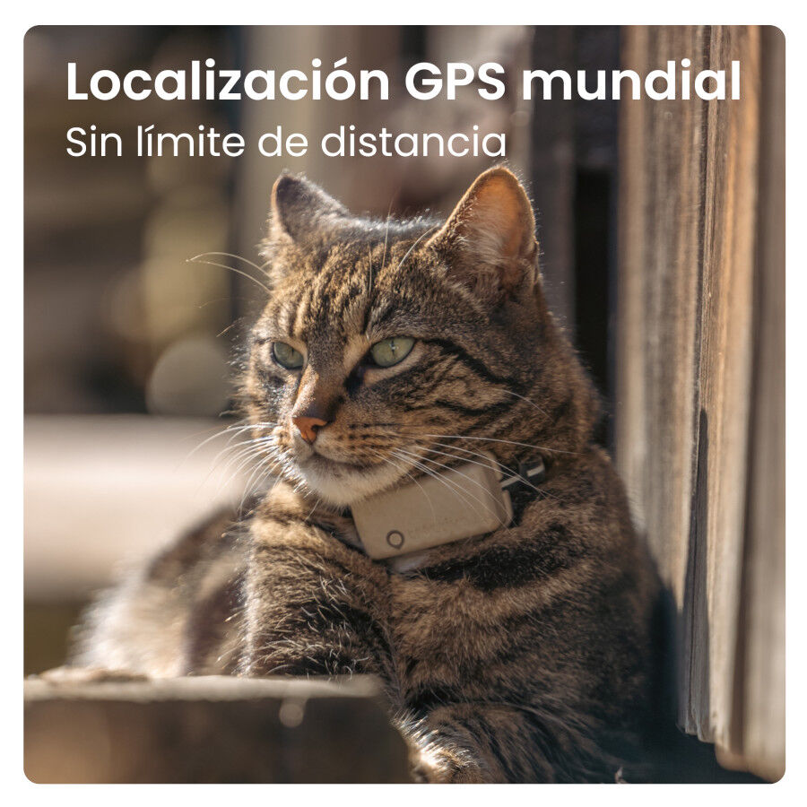 Tractive Cat Mini Localizador GPS Marrón para gatos thumbnail