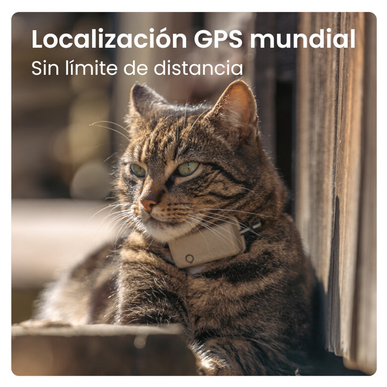 Tractive Cat Mini Localizador GPS Marrón para gatos,  Imagen numero 4 Tractive Cat Mini Localizador GPS Marrón para gatos, , large Imagen numero 4
