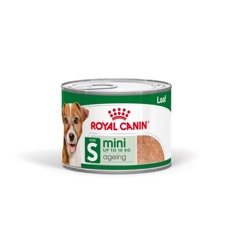 195 g Royal Canin Mini 8+ Ageing lata para perros, , large Imagen numero 1