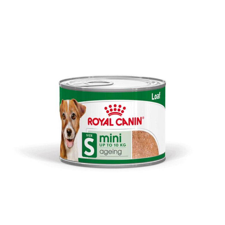 195 g Royal Canin Mini 8+ Ageing lata para perros,  Imagen numero 1 195 g Royal Canin Mini 8+ Ageing lata para perros, , large Imagen numero 1