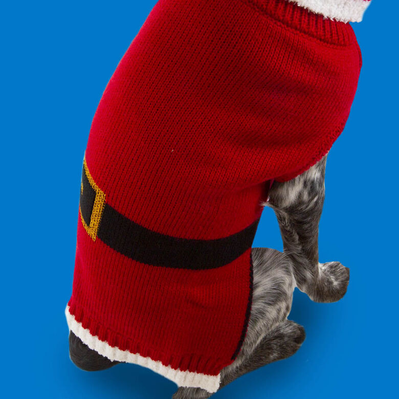 Wonder Christmas Santa jersey navideño para perros thumbnail