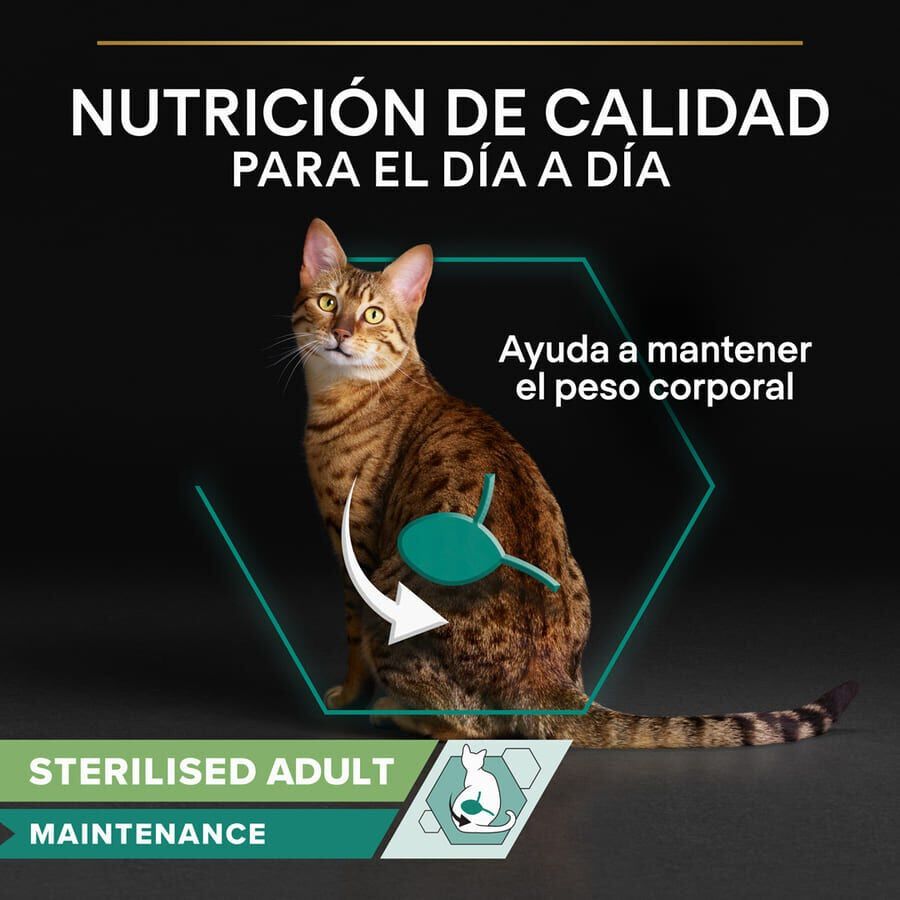 Pro Plan Sterilised Maintenance sobre con Buey en salsa para gatos thumbnail
