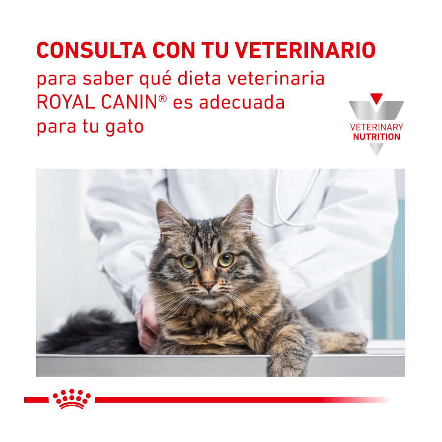Royal Canin Veterinary Diet  Urinary S/O sobres para gato thumbnail
