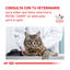 12 sobres x 85 g Royal Canin Veterinary Diet  Urinary S/O sobres para gato, , large indicador imagen numero 8