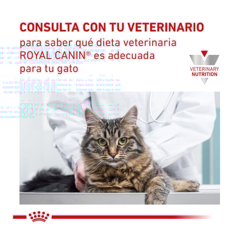 12 sobres x 85 g Royal Canin Veterinary Diet  Urinary S/O sobres para gato,  Imagen numero 8 12 sobres x 85 g Royal Canin Veterinary Diet  Urinary S/O sobres para gato, , large Imagen numero 8