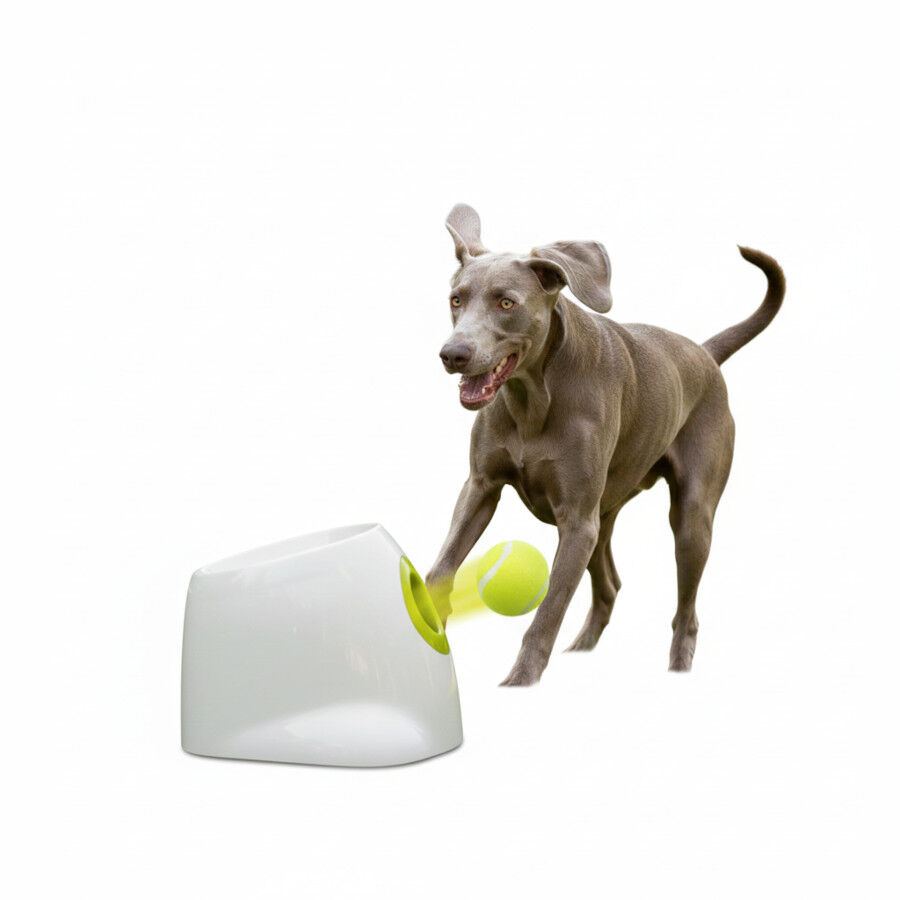 All For Paws Interactives Lanzador Pelotas para perros, , large Imagen numero 3