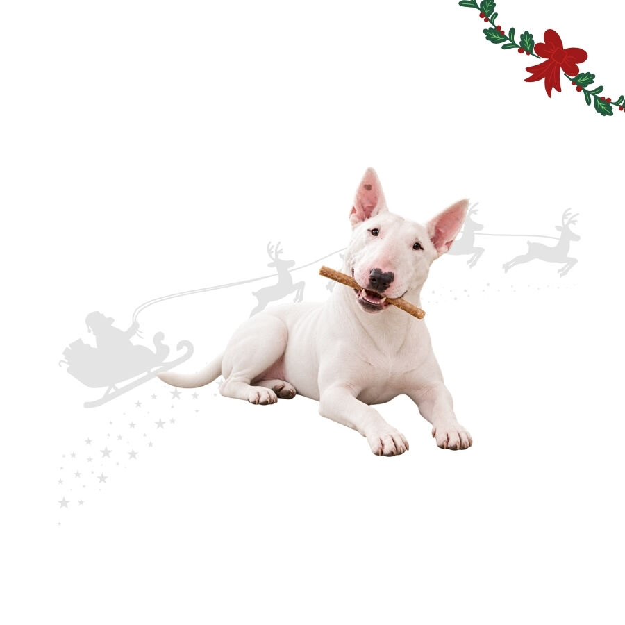 1 pack x 15 uds. Wonder Christmas Palitos Col&aacute;geno con Pavo Snacks para perros, , large Imagen numero 1