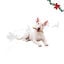1 pack x 15 uds. Wonder Christmas Palitos Col&aacute;geno con Pavo Snacks para perros, , large indicador imagen numero 1
