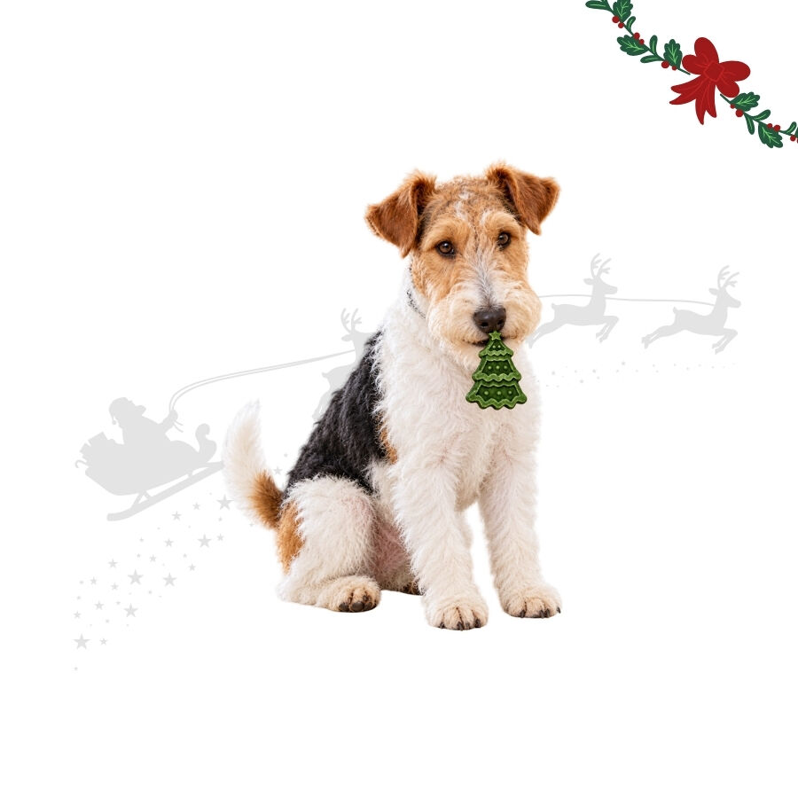 1 ud. Wonder Christmas &Aacute;rbol Piel Prensada Snacks para perros, , large Imagen numero 1