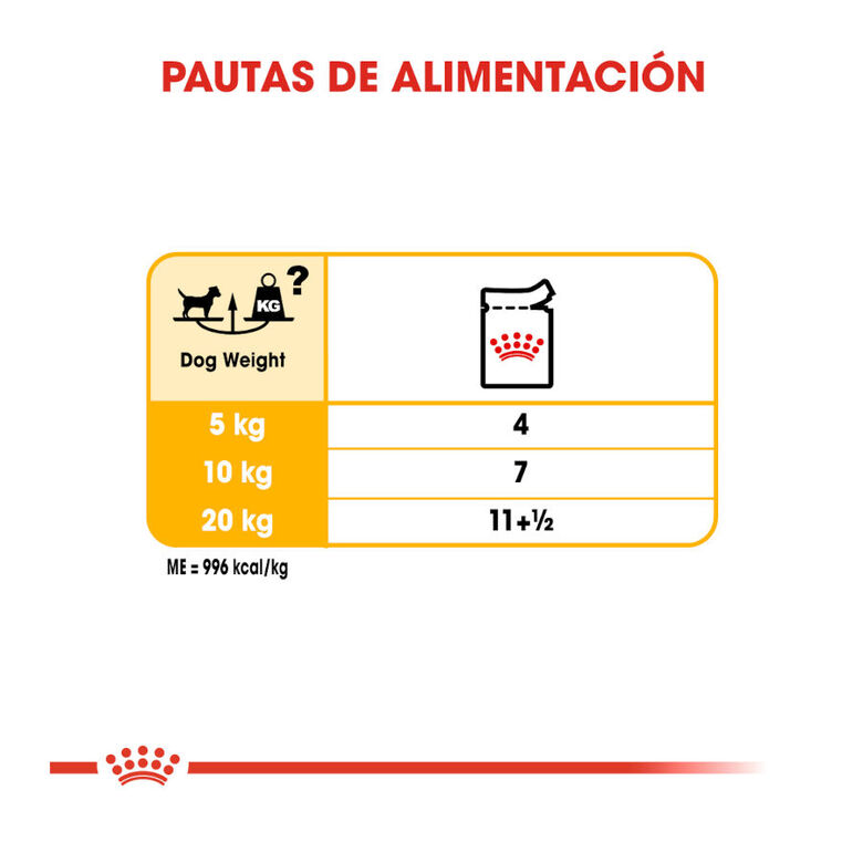 Royal Canin Dermacomfort Sobres Paté para perros thumbnail