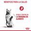 10 kg Royal Canin Appetite Control Care pienso para gatos, , large indicador imagen numero 6